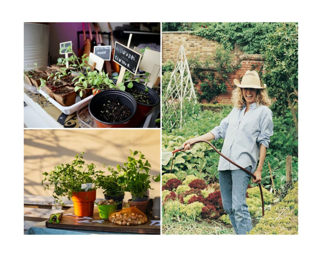 Dreaming Of – A Beautiful French Garden - Beauty Life Moments, image size:1024x819